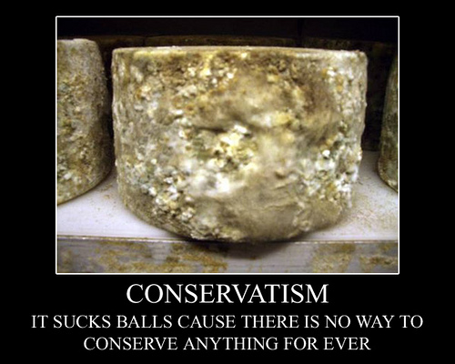 Konservatism är fel