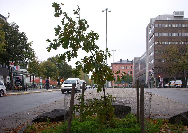 TV-eken är död, leve lilleken!