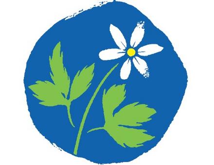 Har vi dubbla standarder för partiernas gräsrötter?