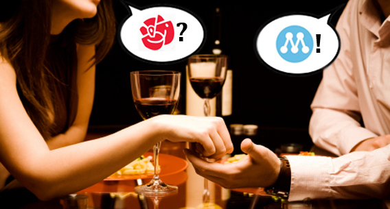 När politiken blivit ett yrke