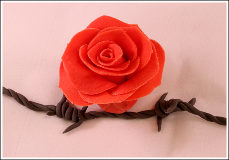 Raggar Socialdemokraterna röster från Sd?